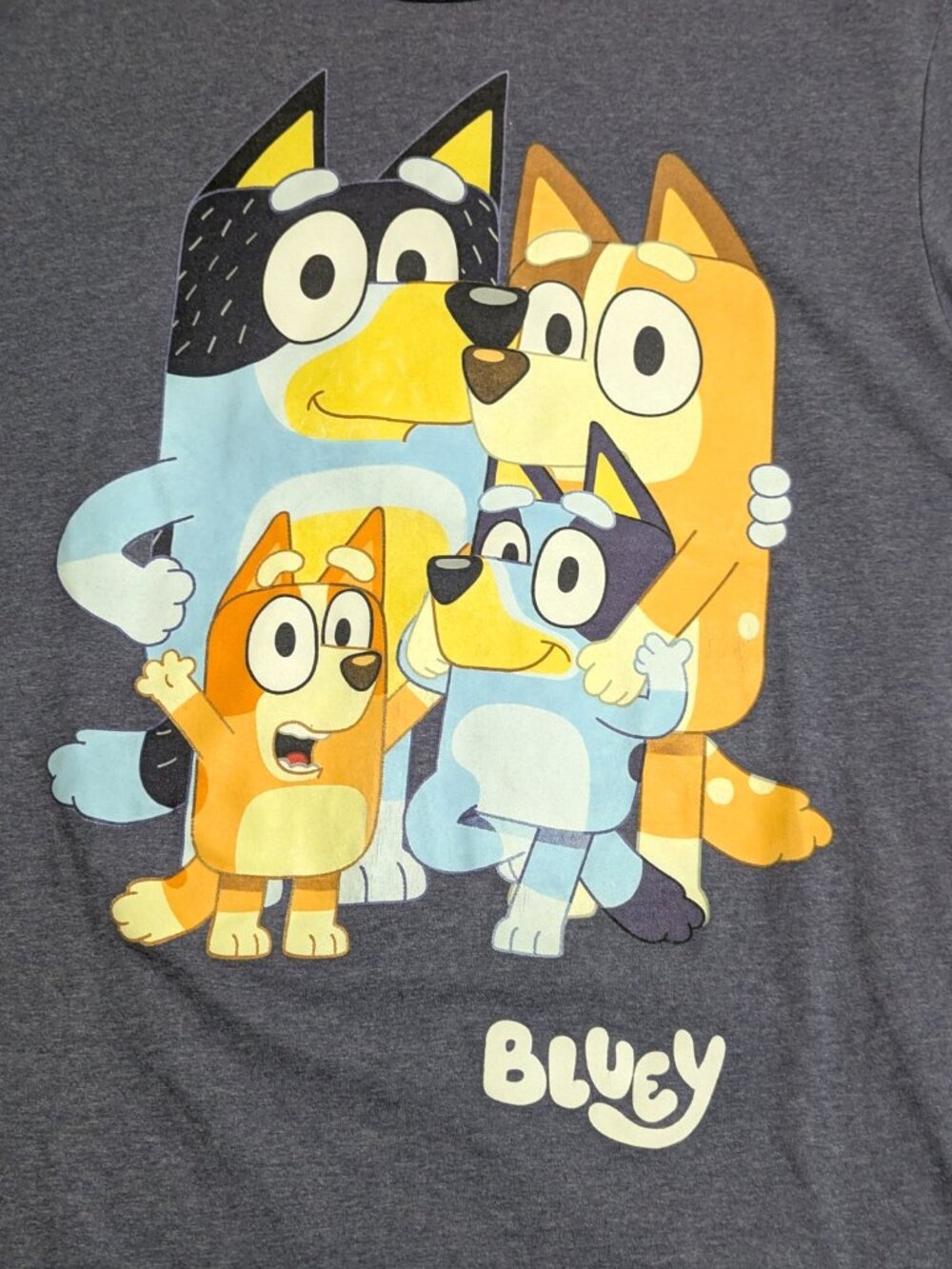 Bluey Shirt Adult Large Cartoon Family Graphic‎ Crew Neck Tee T-Shirt Heather - Picture 4 of 7
